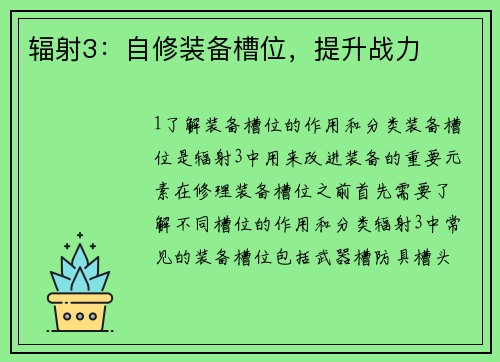 辐射3：自修装备槽位，提升战力